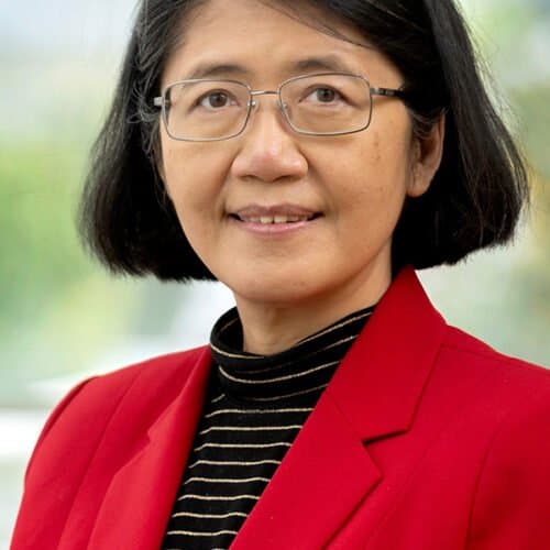 May Dongmei Wang